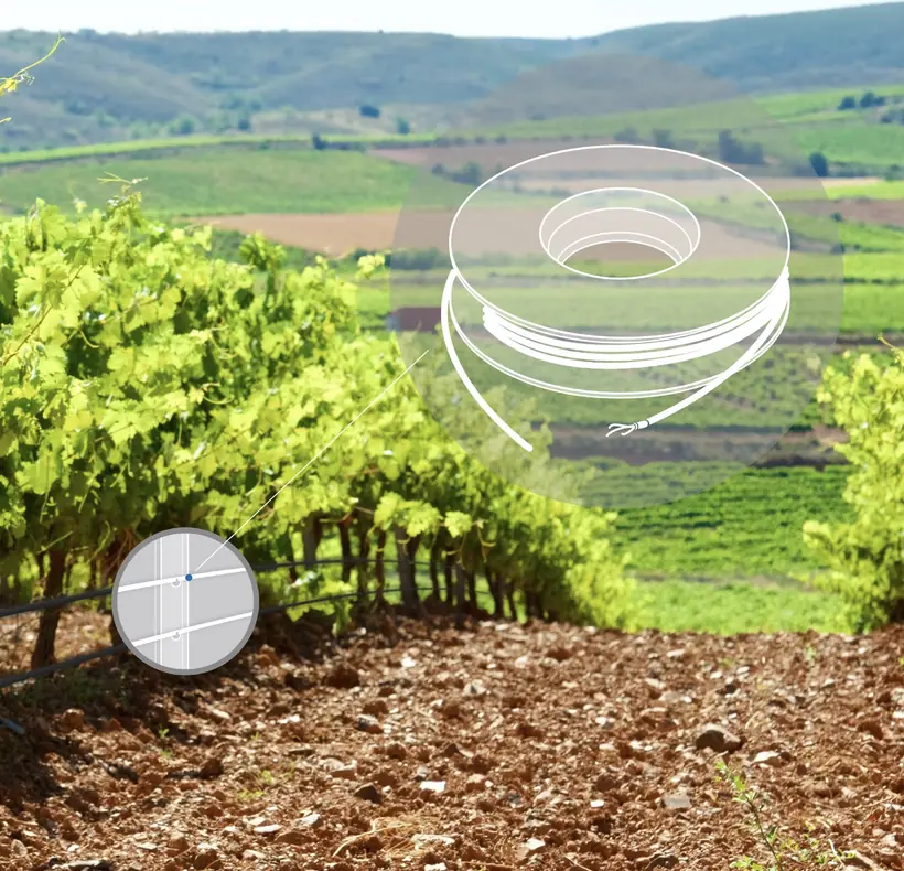 Vineyards and horticulture